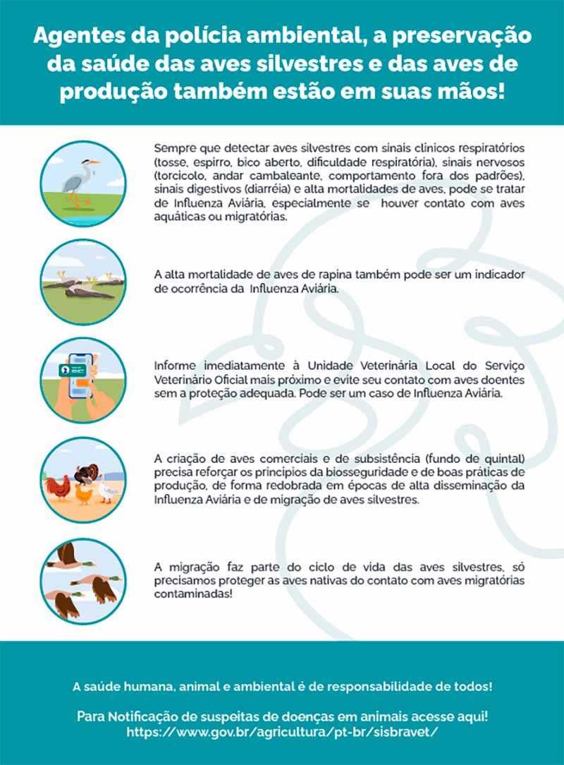 Informações da gripe aviária para agentes ambientais