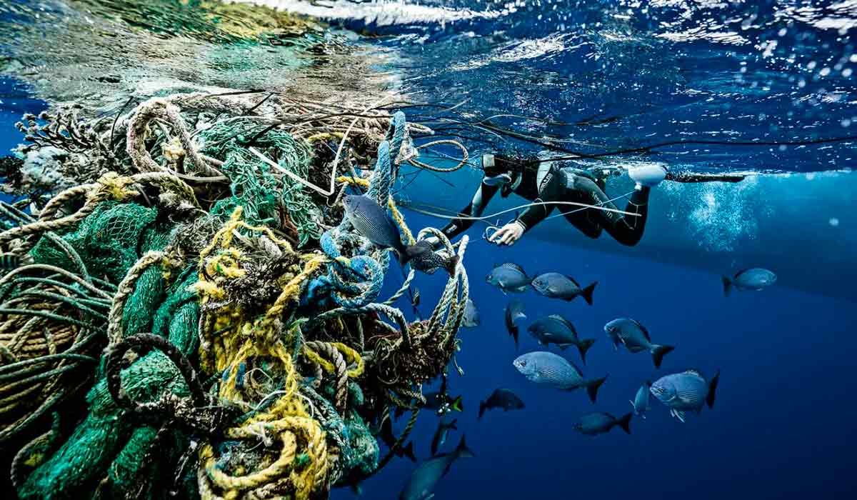 Lixo plástico da pesca ameaça 66% dos animais marinhos