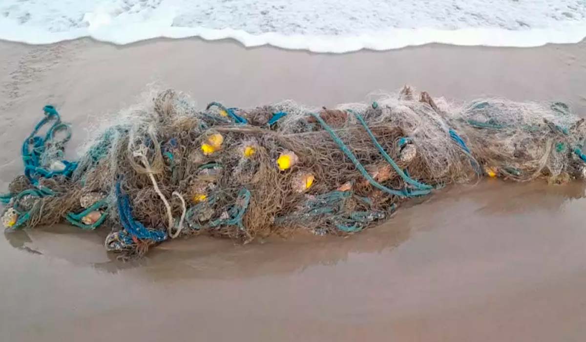 Rede de pesca abandonada na praia