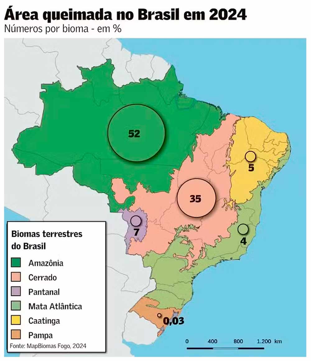 Queimadas em 2024 - Ilustração: Mapbiomas