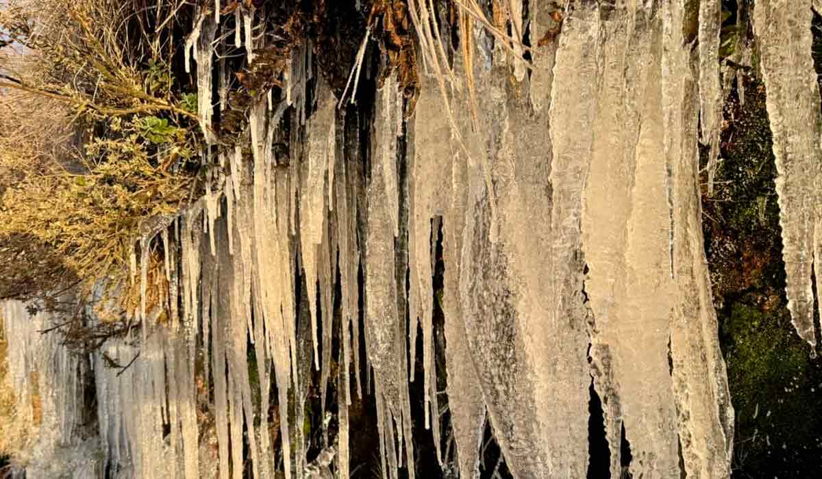 Em Urupema os termômetros marcaram -8,1°C, com sensação térmica de -29°C