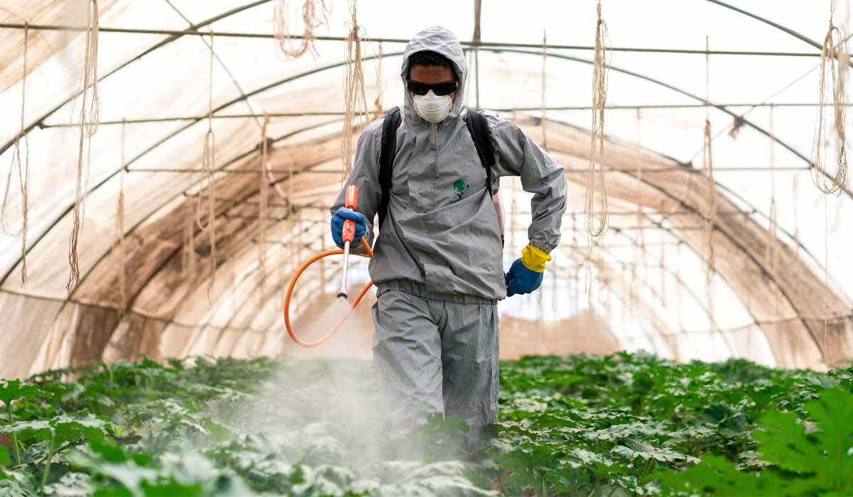 A utilização indiscriminada de agrotóxicos para controle de pragas favorece a seleção de populações resistentes - Foto: Thomas Cristofoletti/USAID
