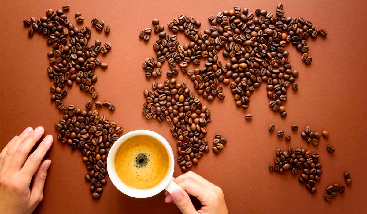 O consumo de café no mundo