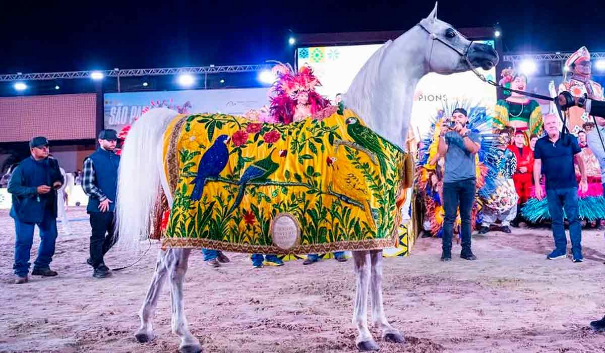 Com decisão unânime dos jurados, o exemplar Lughan HVP foi eleito Campeão Cavalo Ouro