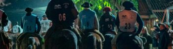 Marcha Anual de Resistência do Cavalo Crioulo