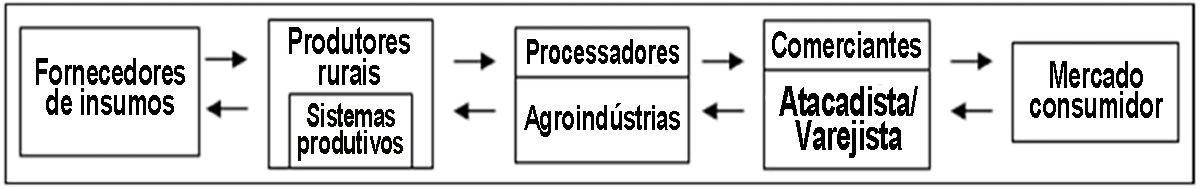 Etapas da cadeia produtiva - Fonte: SILVA (2005, p.1)
