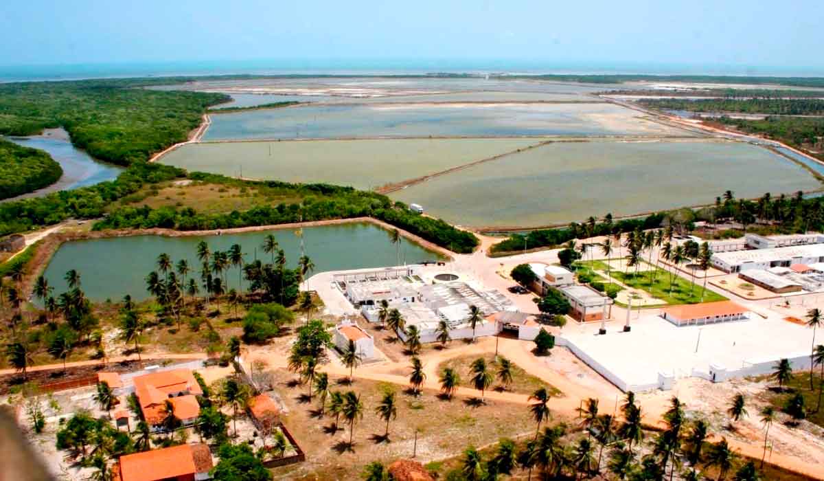 Fazenda de produção na região da Costa Negra