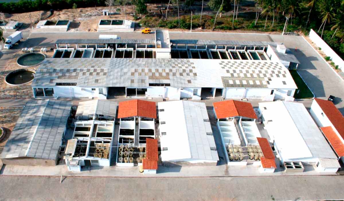 Laboratório de larvicultura na região da Costa Negra