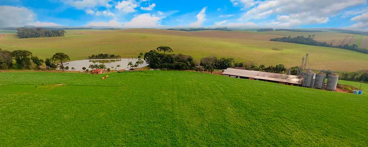 Vista aérea da Fazenda Banhado Verde, em Faxinal dos Guedes, onde será realizado o dia de campo
