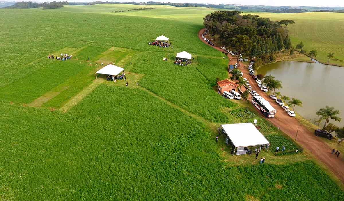 Dia de campo na Fazenda Banhado Verde