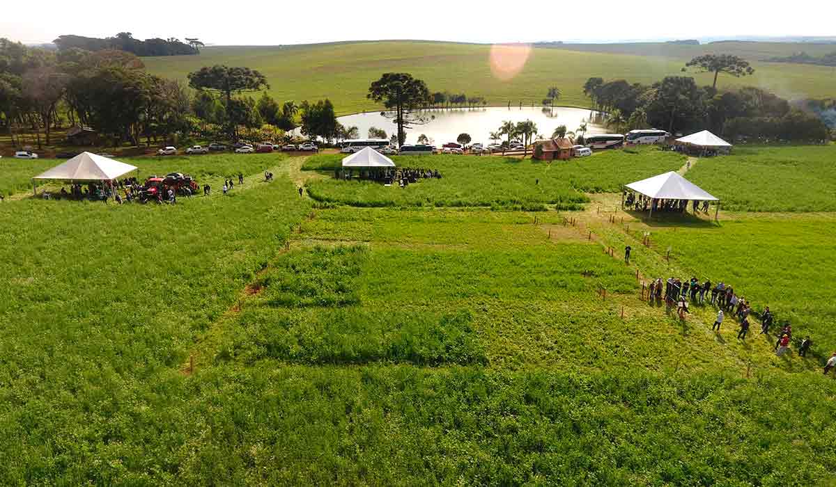 Dia de campo na Fazenda Banhado Verde