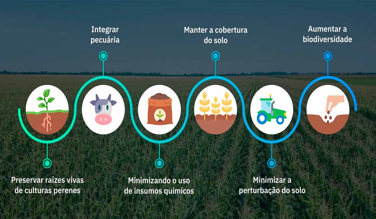 A sustentabilidade da agricultura regenerativa prioriza desenvolvimento suportável ambiental e a saúde humana