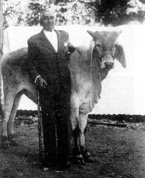 João de Abreu Jr., um ícone na pecuária brasileira e mundial. Ele fez o primeiro livro zootécnico com genealogia, medição corporal e produção de cada animal