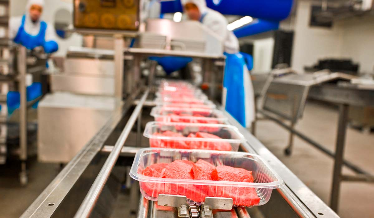 Processamento da carne no frigorífico