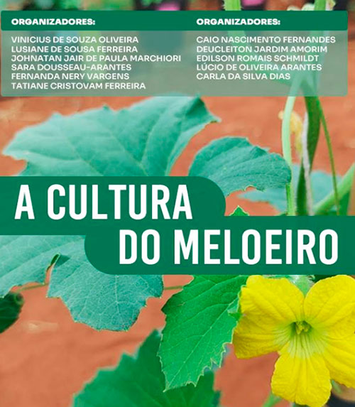 Capa da publicação da Incaper