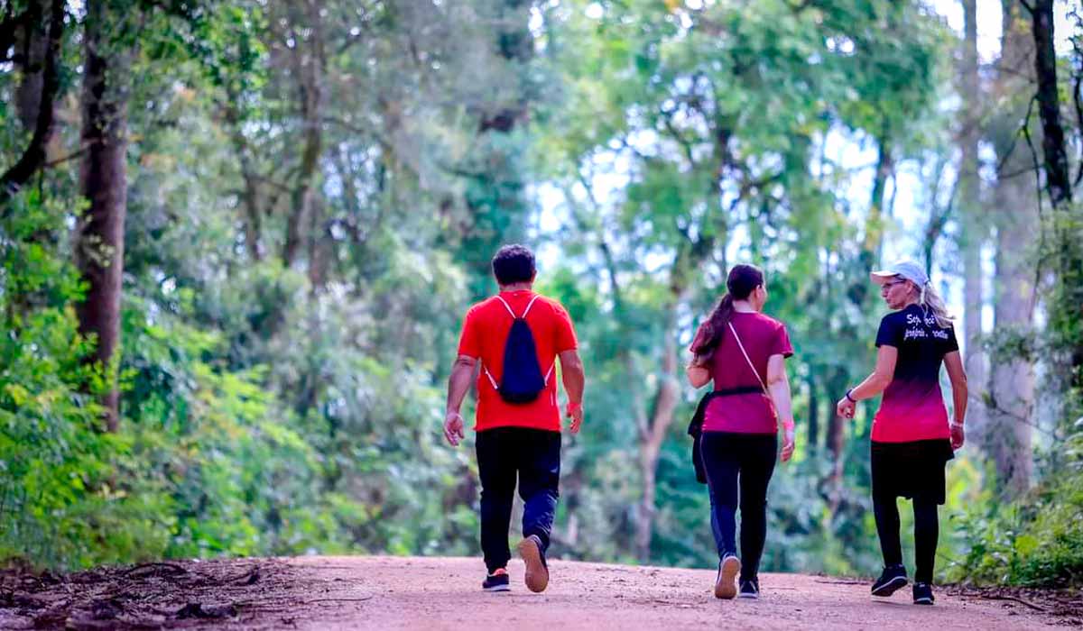 Além de valorizar a cultura local, o turismo rural se solidifica como mais uma fonte de renda para as famílias envolvidas na atividade
