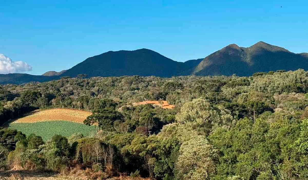 Lavouras, matas e muita natureza - Foto: Elivelton Machado