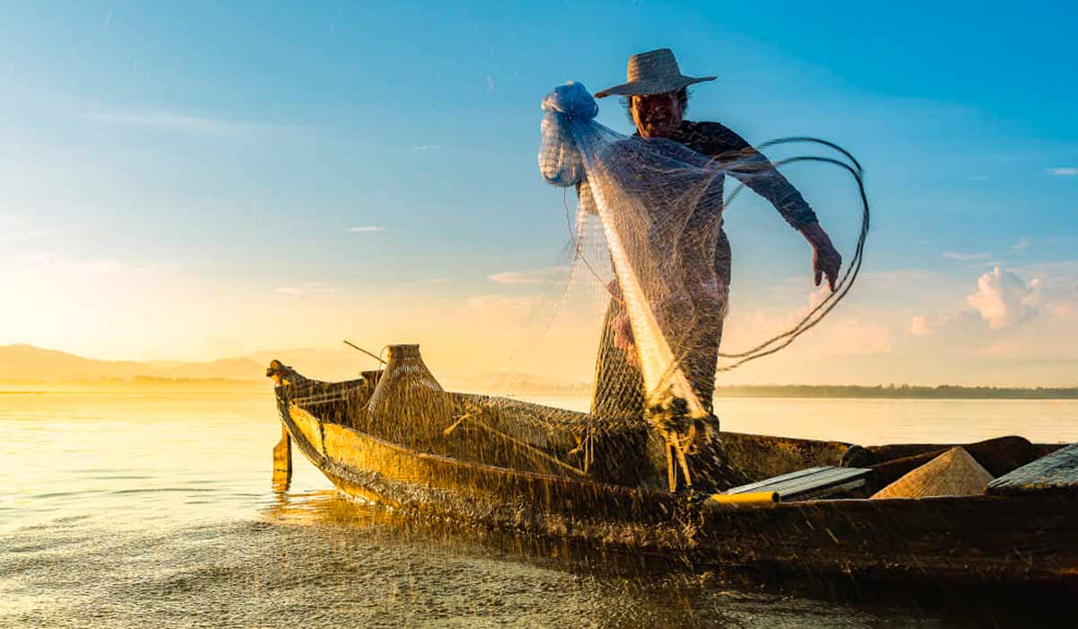 Pescador na labuta