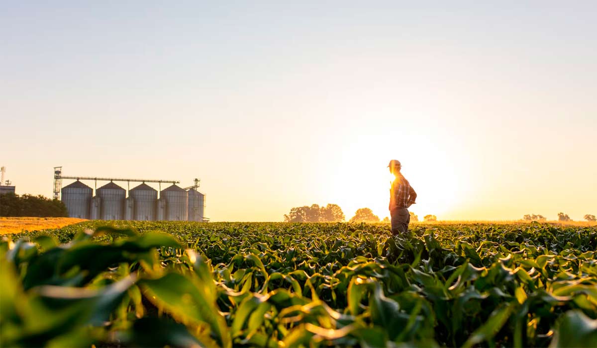 Agricultura empresarial