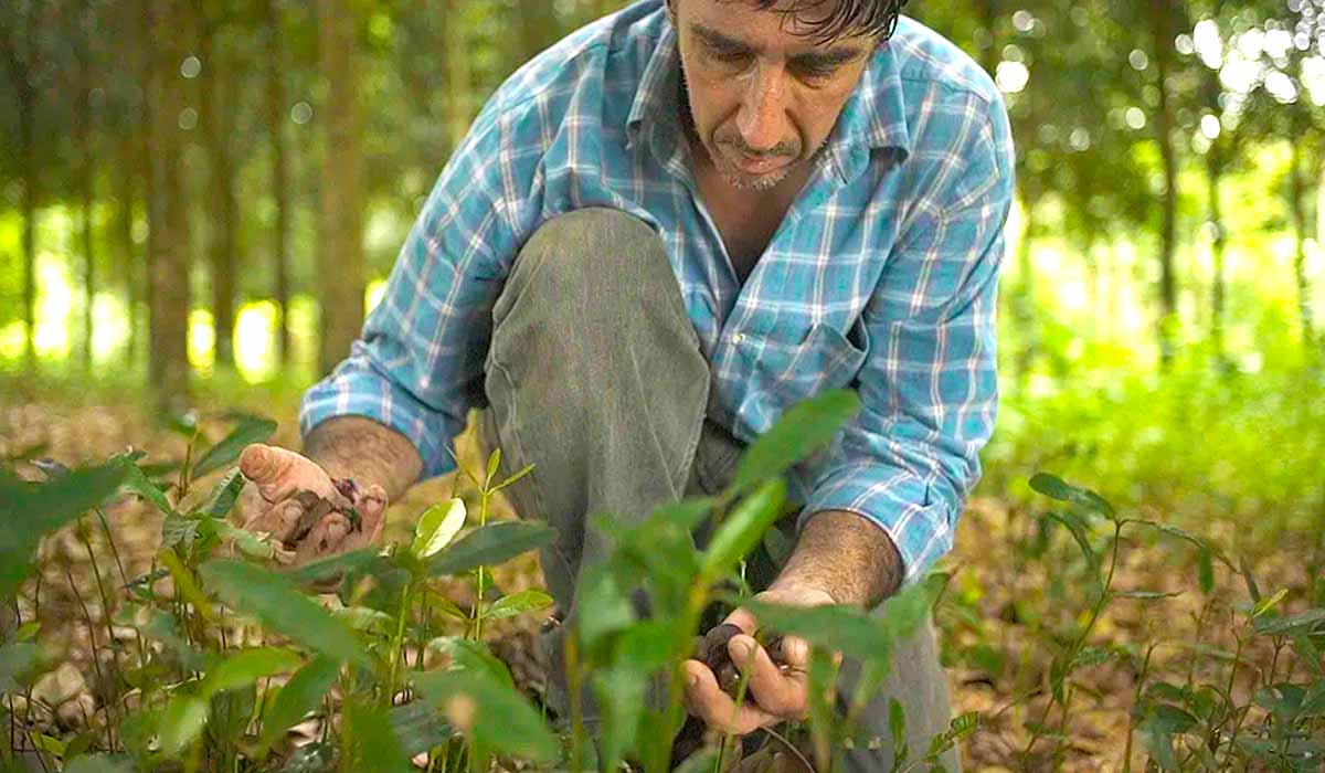 Agricultores estão mudando sua relação com a terra aumentando sua rentabilidade protegendo e restaurando florestas