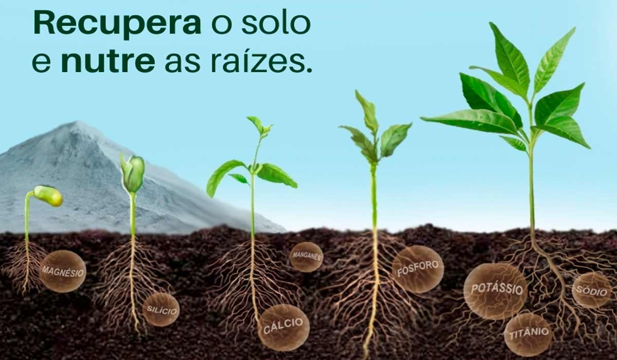 Os remineralizadores reinicia o processo de formação do solo regenerando-o química-física-biologicamente