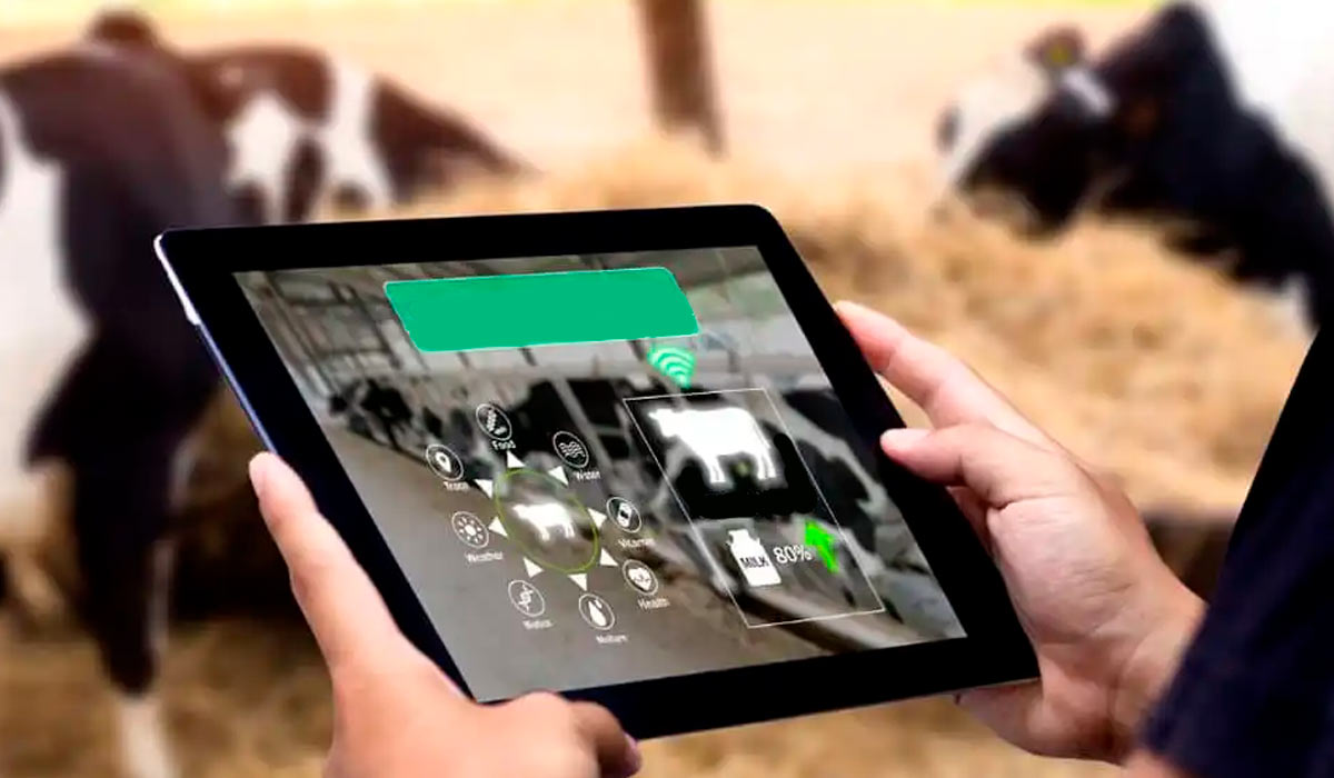 Tecnologia e inovação são essenciais para o controle da produção e tomada de decisões na propriedade rural