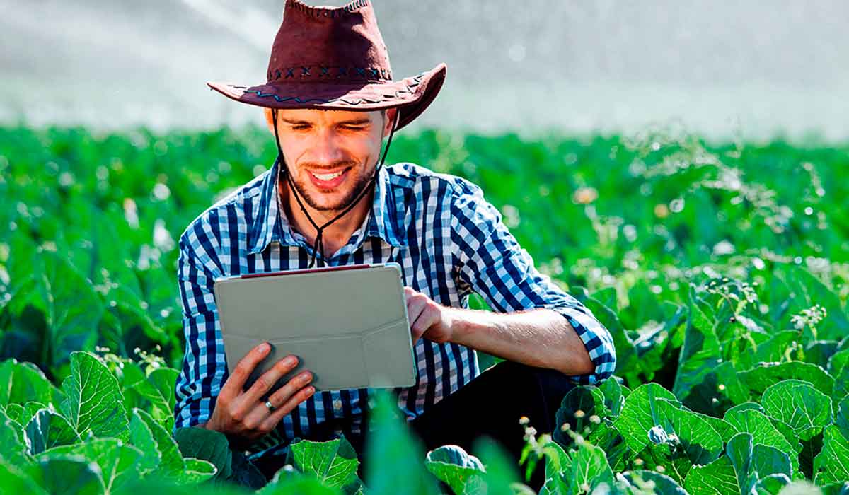 O produtor atualizado deve acompanhar as notícias e o desenvolvimento do mercado no decorrer das safras, planejando seus investimentos e negociações conforme os custos de produção por hectare