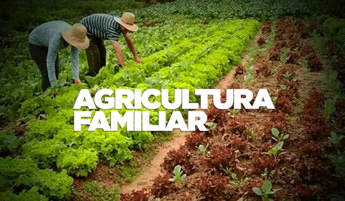 Os recursos serão destinados à promoção, fortalecimento da comercialização, do abastecimento, do acesso aos mercados e soberania alimentar