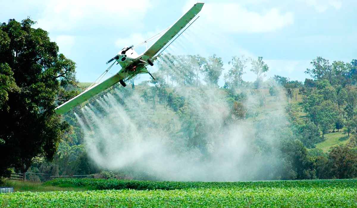 O brasileiro continua comendo cada vez mais agrotóxicos