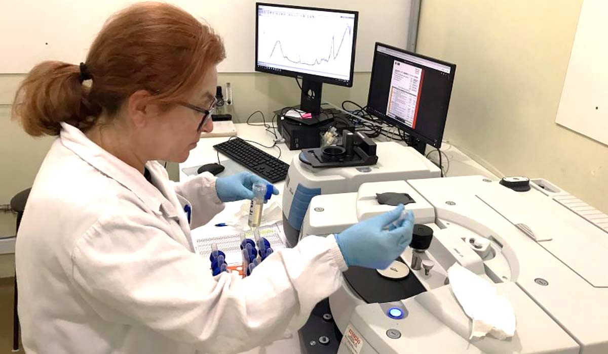 A análise foi realizada utilizando espectroscopia NIR acoplada à técnica estatística PLS-DA - Foto: Embrapa A análise foi realizada utilizando espectroscopia NIR acoplada à técnica estatística PLS-DA - Foto: Embrapa