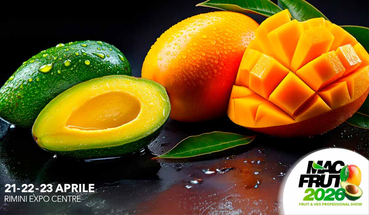 Abacate e manga serão os destaques de 2026