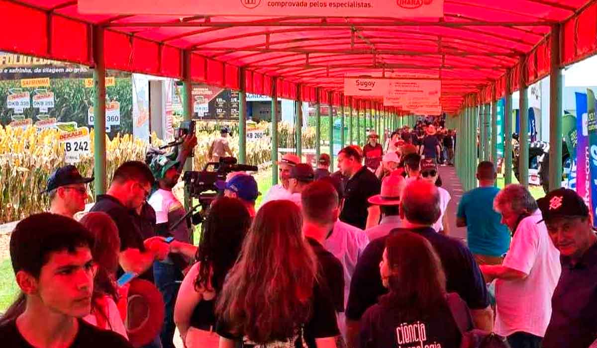 A ampliação da área coberta das ruas proporcionará mais conforto e comodidade ao público visitante