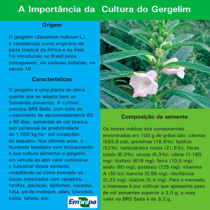 Importância do cultivo