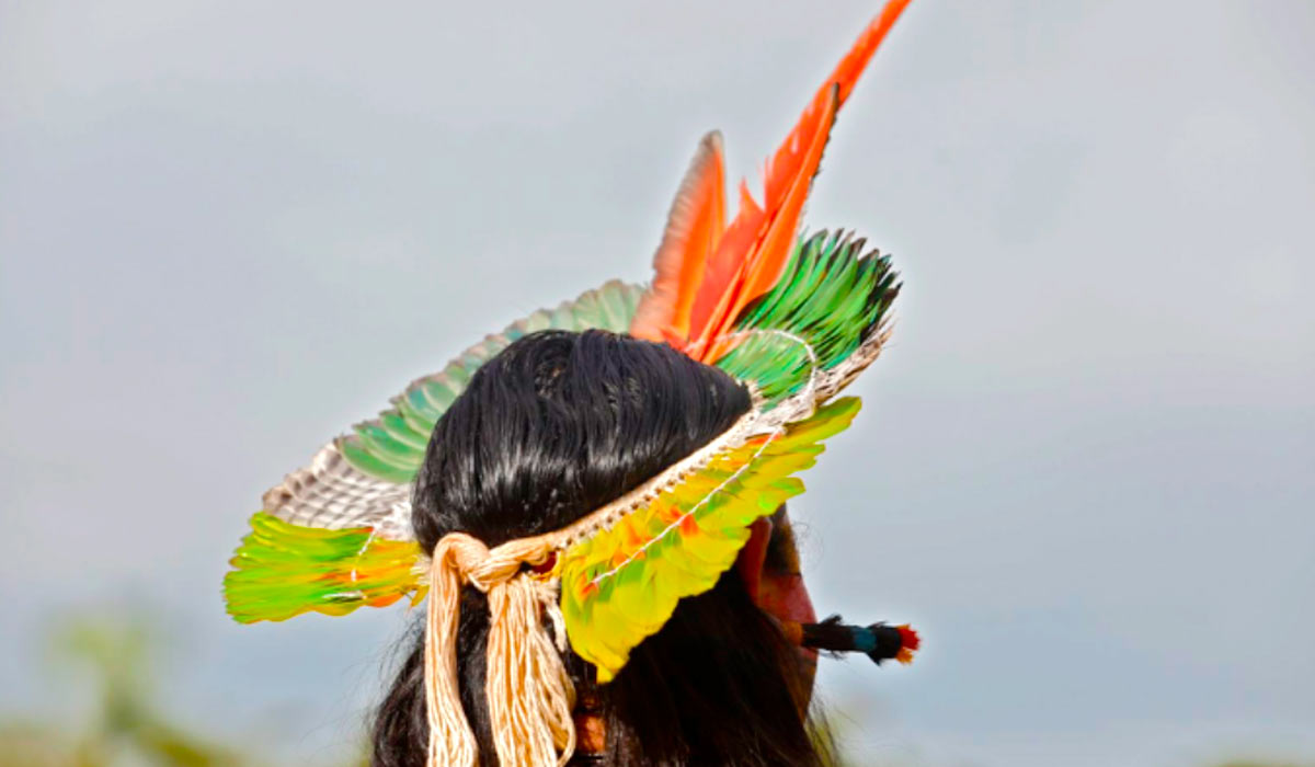 Não é falta de terra que ameaça a vida indígena, é falta de estado. O governo ampliou as demarcações de terras indígenas, mas a Terra Yanomami segue marcada por fome, doenças e garimpo ilegal