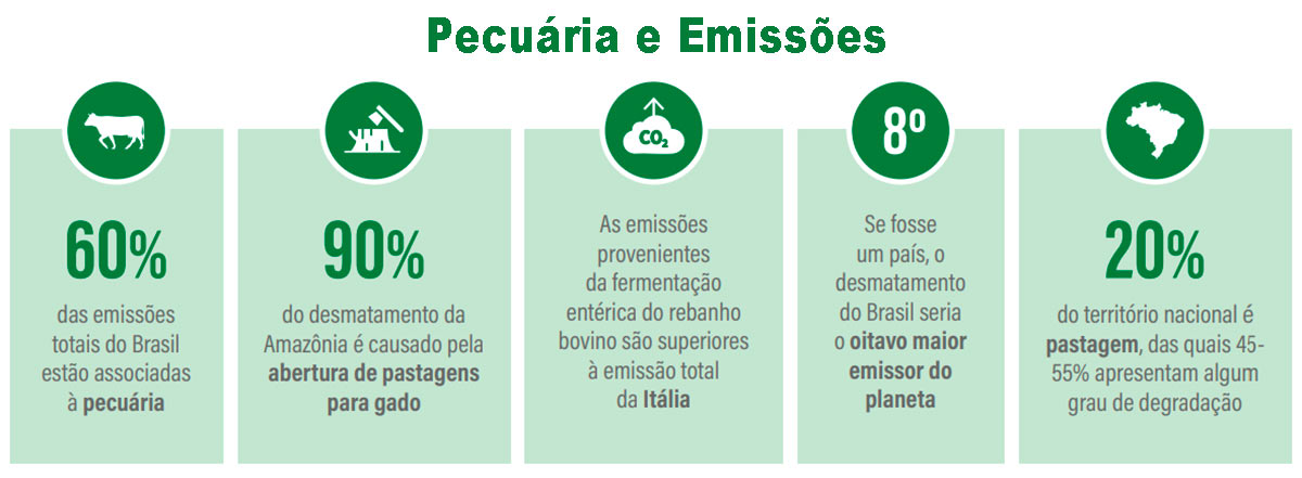 A pecuária e as emissões