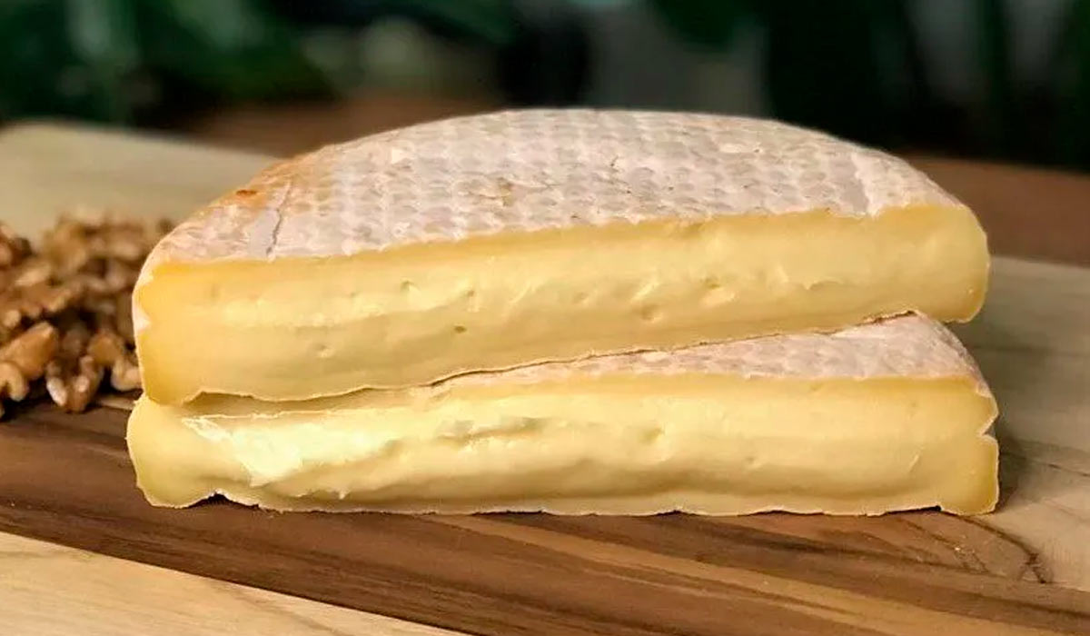 Queijo tipo Reblochon do Laticínio Serra das Antas, de Bueno Brandão, MG, um dos queijos brasileiros medalha de ouro