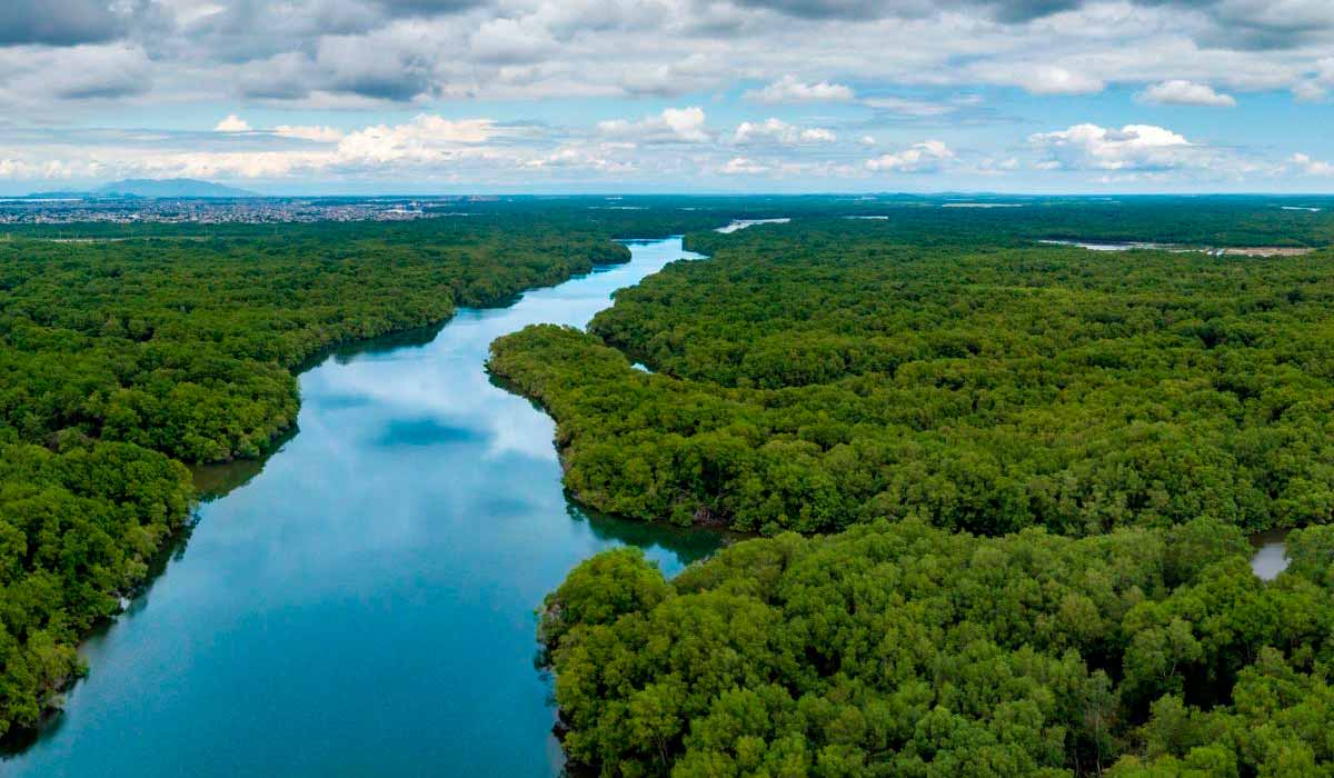 Qualquer proposta de uso do SAGA que ignore a preservação da floresta, a segurança hídrica de longo prazo e o desenvolvimento econômico da região amazônica, tende a gerar desequilíbrios difíceis de reverter Qualquer proposta de uso do SAGA que ignore a preservação da floresta, a segurança hídrica de longo prazo e o desenvolvimento econômico da região amazônica, tende a gerar desequilíbrios difíceis de reverter