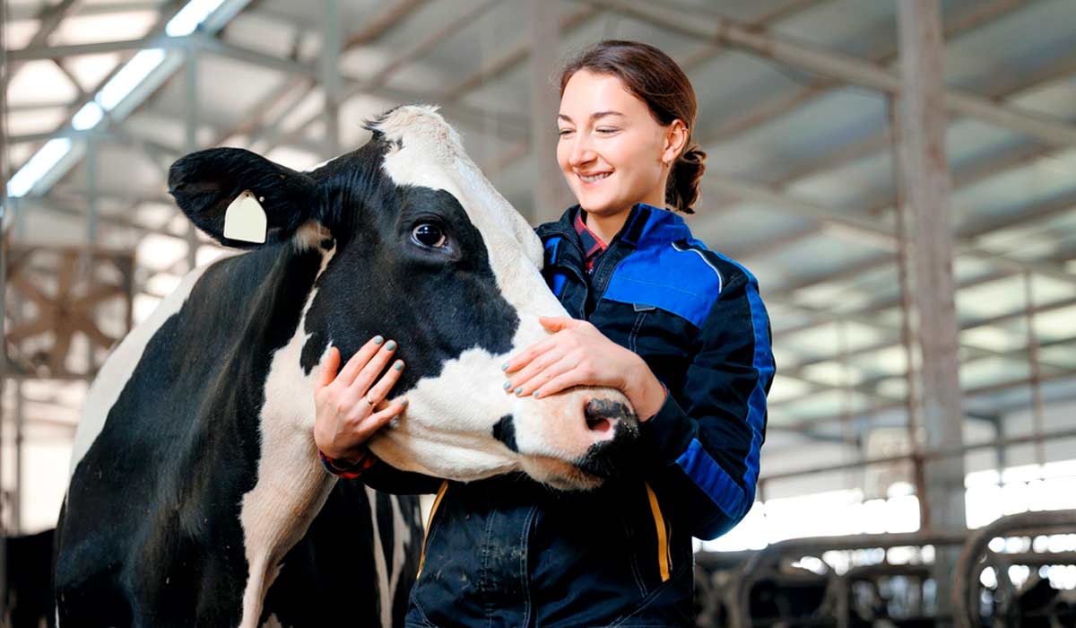 É importante adotar estratégias para a prevenção global dos problemas que podem ocorrer É importante adotar estratégias para a prevenção global dos problemas que podem ocorrer