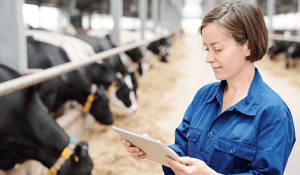 O acompanhamento técnico é fundamental para garantir o bem estar dos animais O acompanhamento técnico é fundamental para garantir o bem estar dos animais