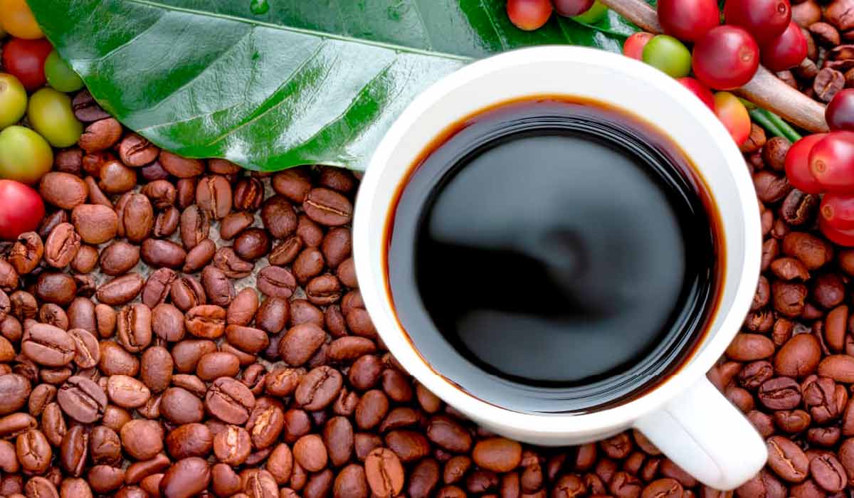 Cafeicultura – Modernização impulsiona produtividade e garante qualidade do café brasileiro