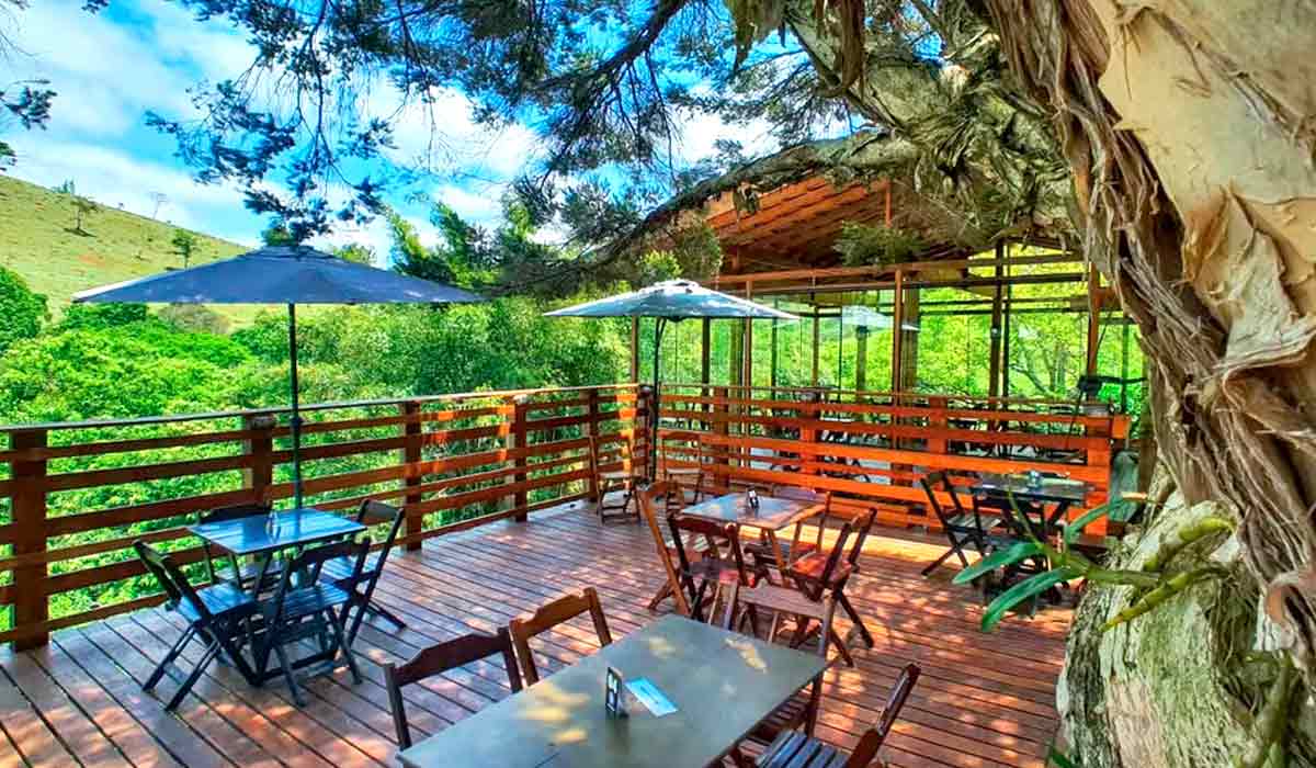 Cervejarias rurais vêm investindo no turismo, elaborando receitas com insumos locais e com água de alta qualidade de suas nascentes - Foto: Cervejaria Araukarien Cervejarias rurais vêm investindo no turismo, elaborando receitas com insumos locais e com água de alta qualidade de suas nascentes - Foto: Cervejaria Araukarien