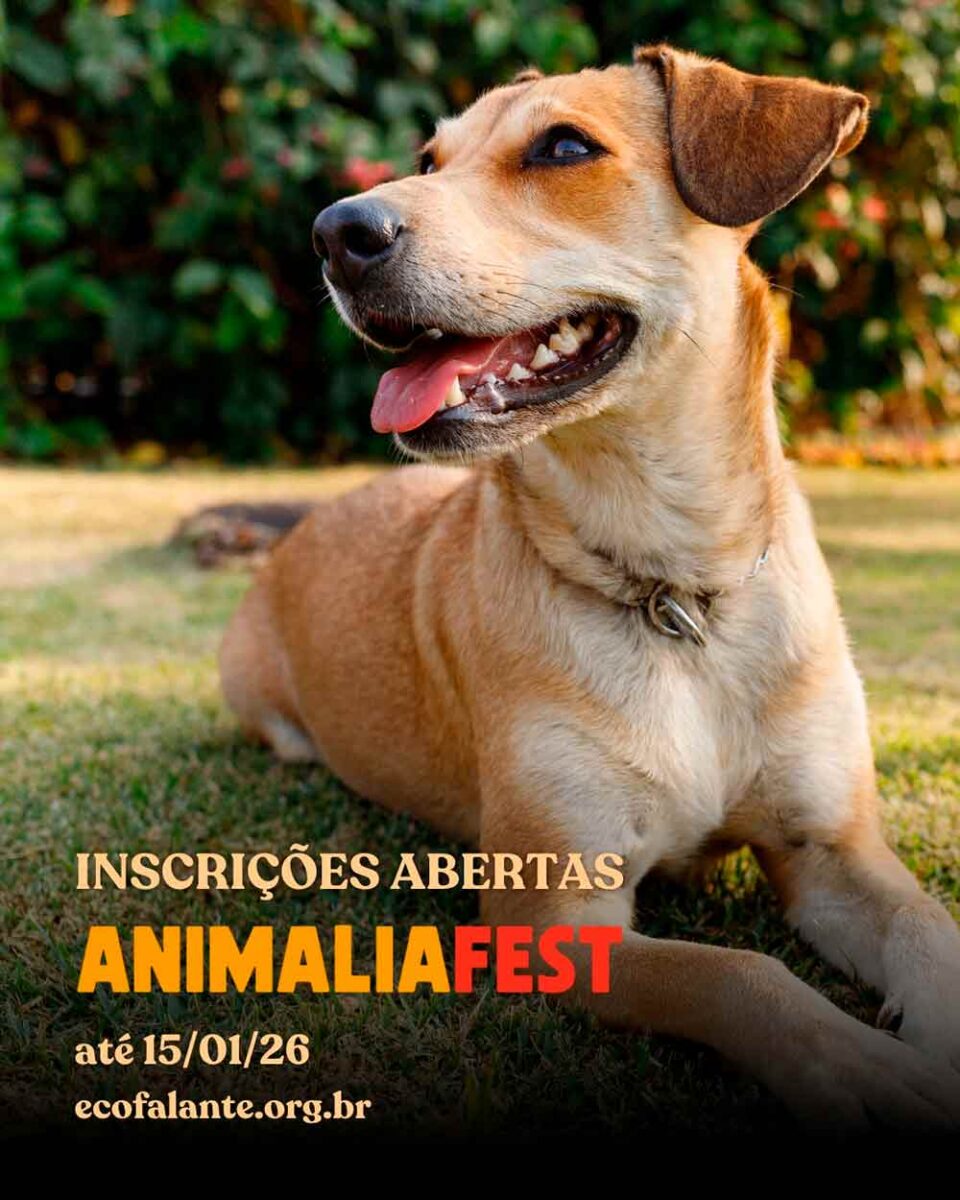 Chamada para as inscrições no Animalia Fest Chamada para as inscrições no Animalia Fest