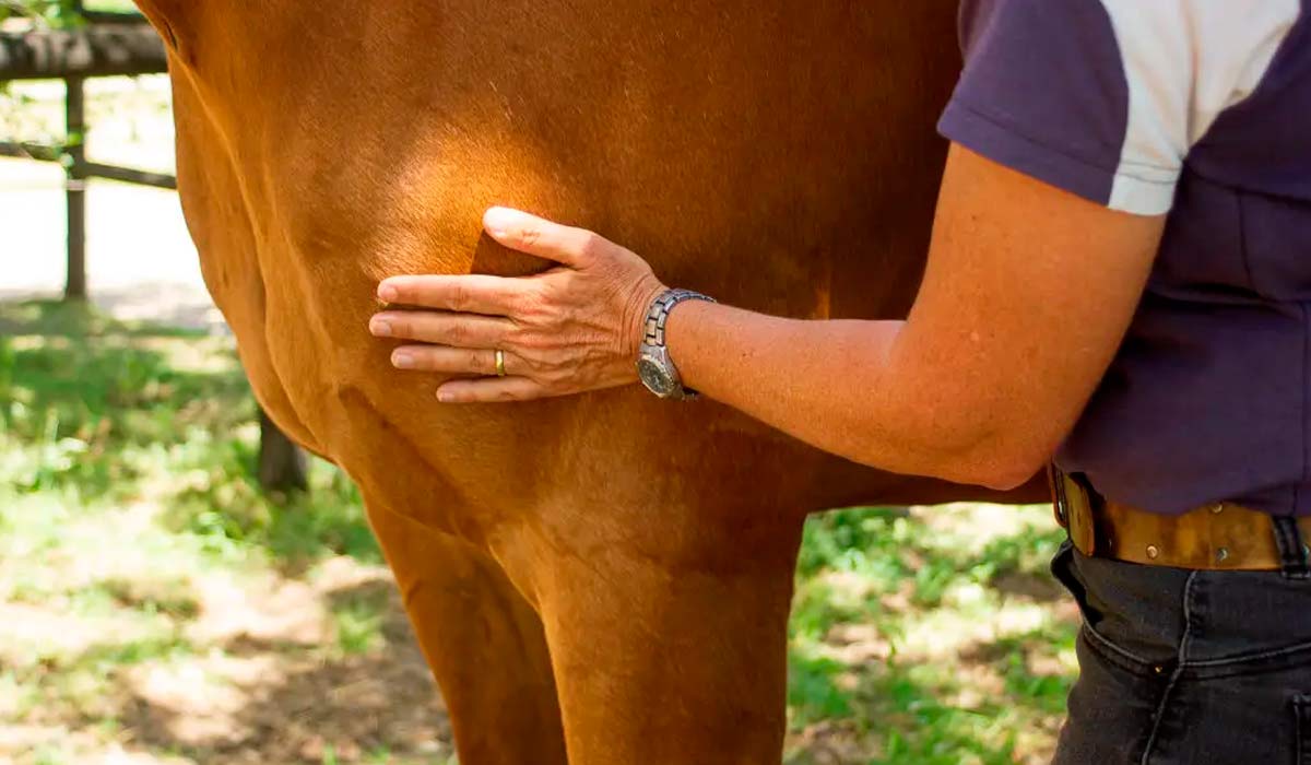 Experiência imersiva que une conhecimento aprofundado, aplicação prática e integração entre profissionais, estudantes e entusiastas Experiência imersiva que une conhecimento aprofundado, aplicação prática e integração entre profissionais, estudantes e entusiastas
