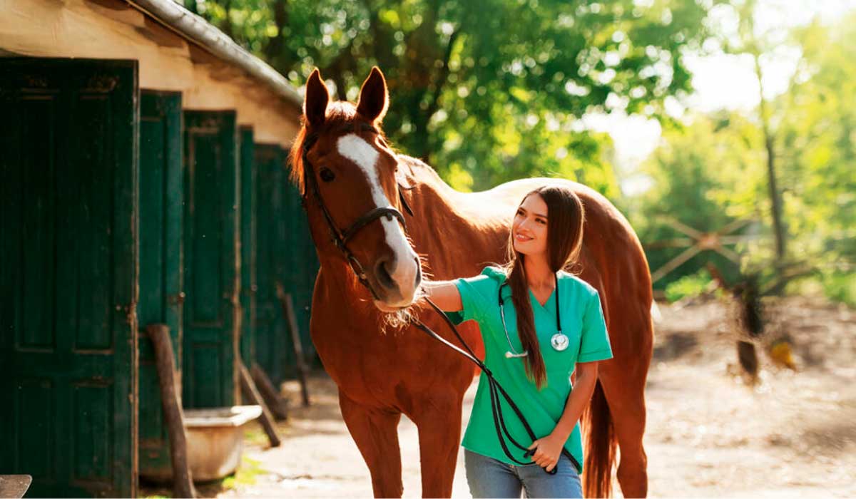 Equine 360° reúne especialistas da medicina equina