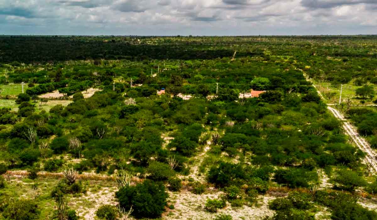 Área típica da região Área típica da região