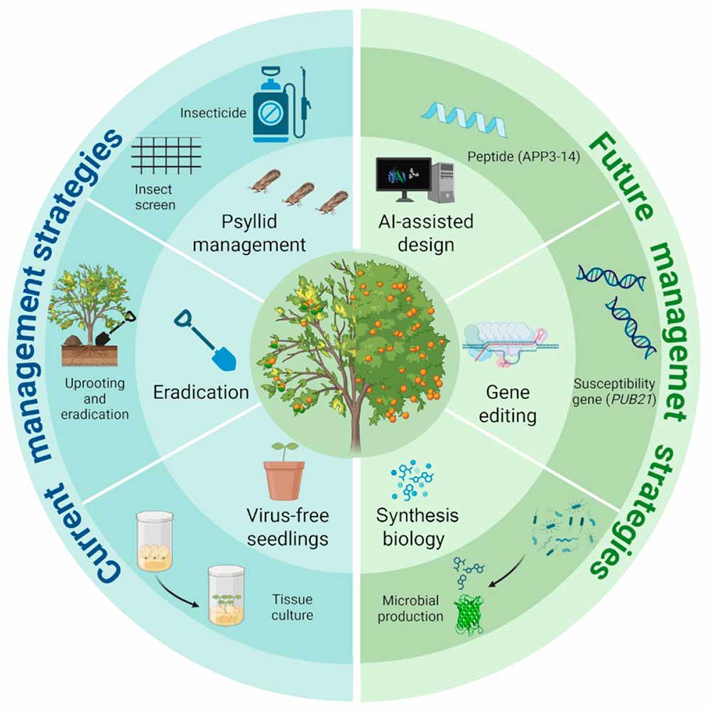 Comparando as estratégias convencionais de controle de pragas e doenças e o manejo de pragas baseado na evolução (MPIE)