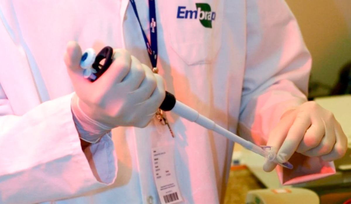 A pesquisa da Embrapa é crucial para transformar o Brasil em potência agrícola, gerando tecnologias que aumentam a produtividade e a sustentabilidade do agronegócio, garantindo segurança alimentar e competitividade global A pesquisa da Embrapa é crucial para transformar o Brasil em potência agrícola, gerando tecnologias que aumentam a produtividade e a sustentabilidade do agronegócio, garantindo segurança alimentar e competitividade global