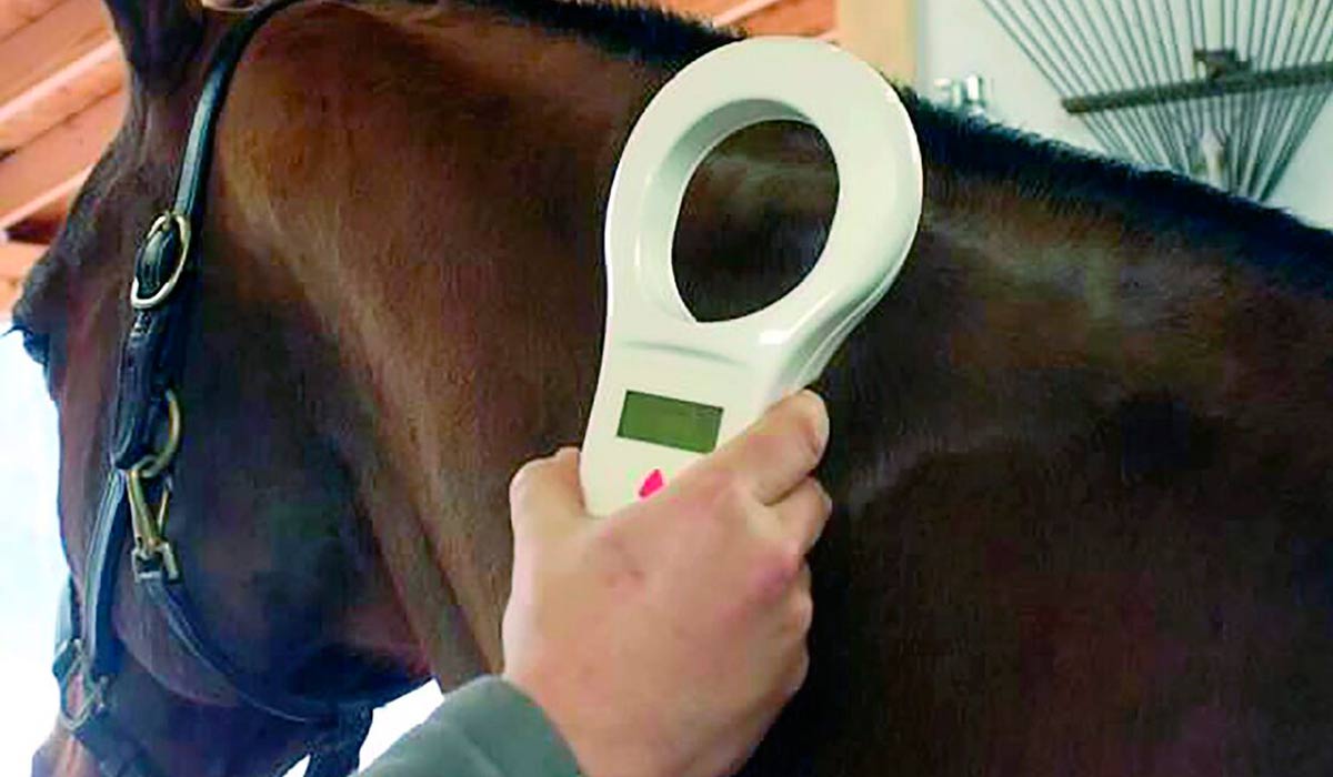 O chip possui uma sequência única de dígitos que é vinculada ao cadastro do animal (nome, proprietário, histórico) em plataformas de monitoramento O chip possui uma sequência única de dígitos que é vinculada ao cadastro do animal (nome, proprietário, histórico) em plataformas de monitoramento