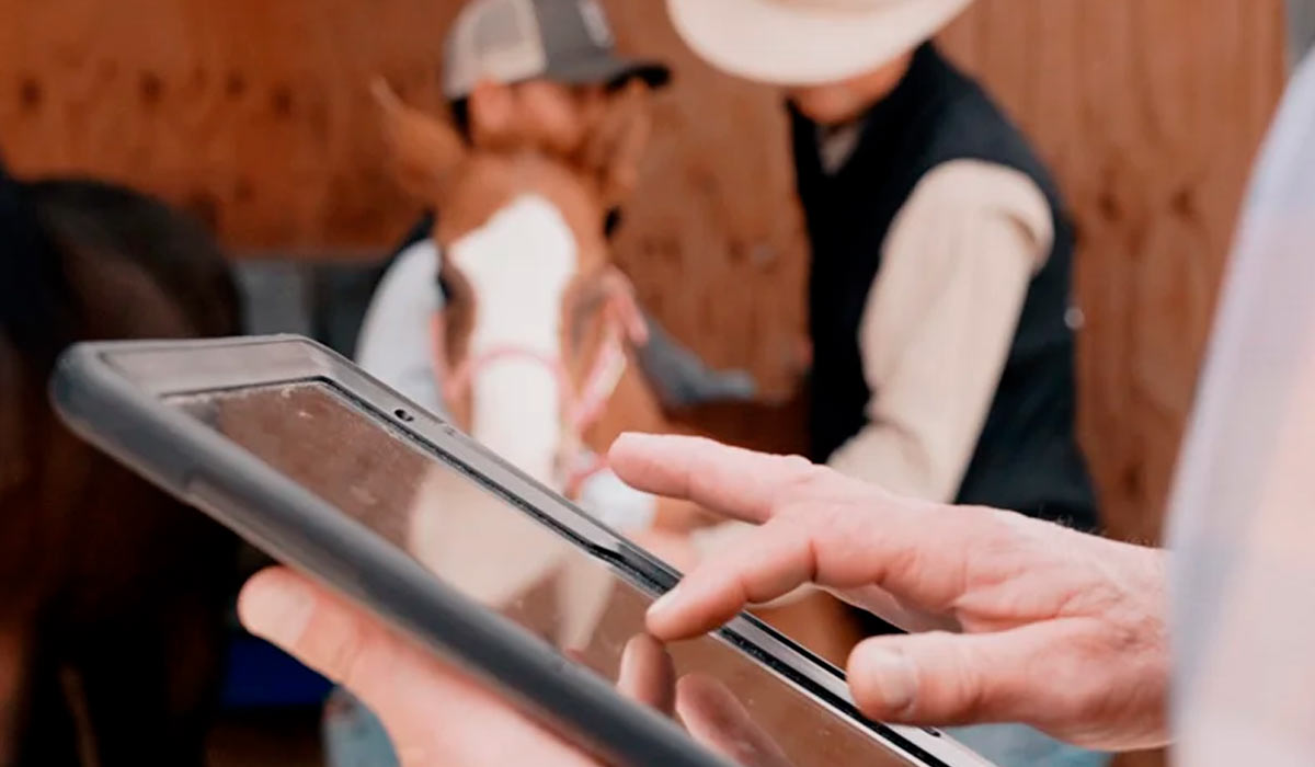 Chip amplia monitoramento da saúde e reforça bem-estar animal