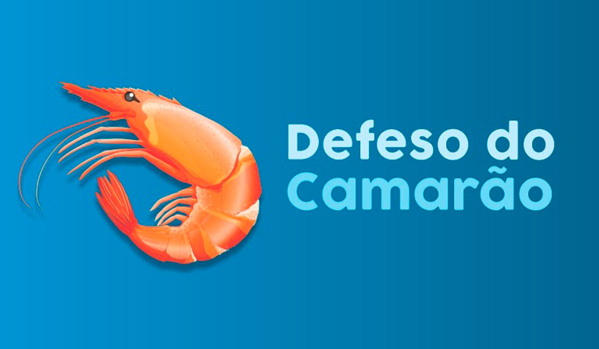 Período de defeso do camarão começou